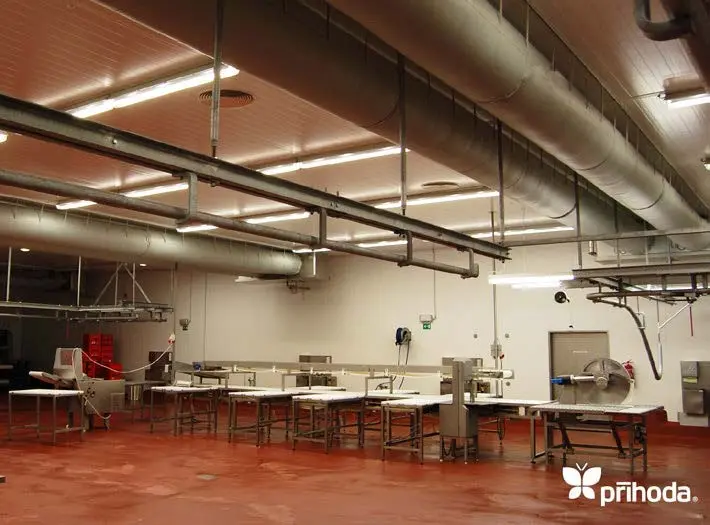 commercial-FoodProcessing-2