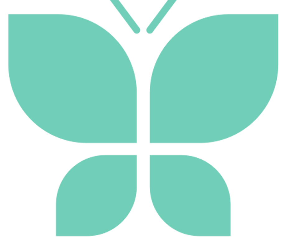bg green butterfly