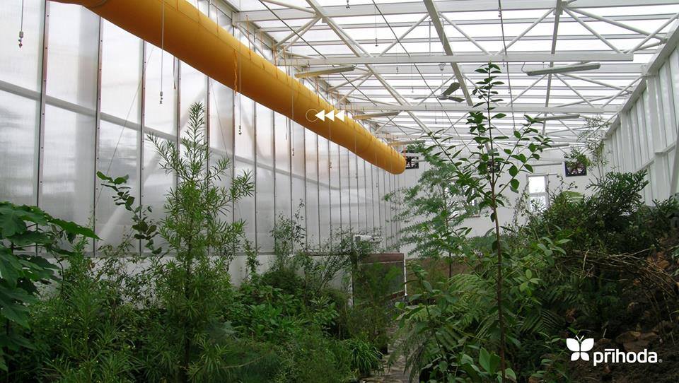 green house, yellow duct